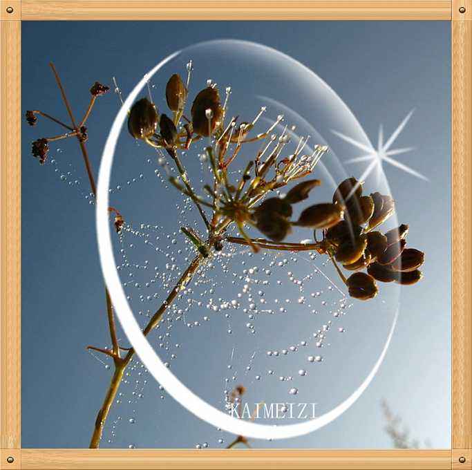 济南验光培训，正真视光