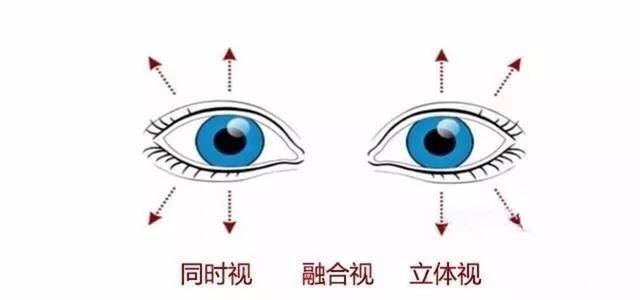 验光师培训学校，正真视光学院